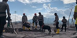 Recovery efforts of the victims of the eruption