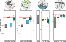 Significant declines in the size of many species of Pacific salmon over the past 30 years are negatively impacting salmon fecundity, nutrient transport, commercial fishery profits, and rural food security.[102]