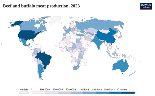 Beef and buffalo meat production tonnes