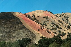 Red fire retardant dispersed aerially onto brush adjoining a firebreak during the Tumbleweed Fire in California, in July 2021; while vegetation to the left of the firebreak has completely burned, everything to its right was protected