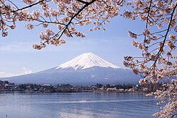 Mount Fuji and sakura (cherry blossoms) are national symbols of Japan