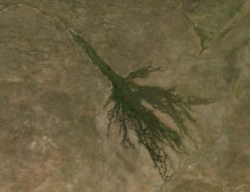 Okavango Delta