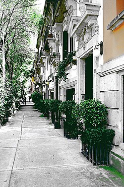 Buildings along Colima Street in Colonia Roma