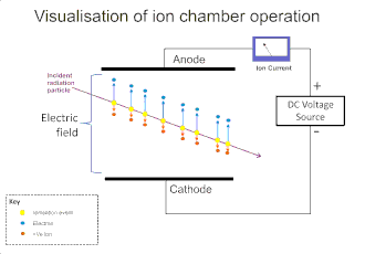 Schematic of an ion chamber, showing drift of ions. Electrons drift faster than positive ions due to their much smaller mass.[5]