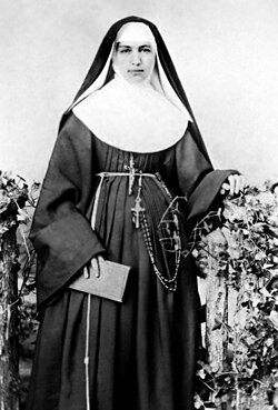 Saint Marianne Cope was among many Catholic nuns to influence the development of modern hospitals and nursing.