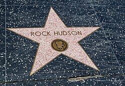 Hudson's star at on the Hollywood Walk of Fame at 6116 Hollywood Blvd.