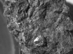 A sample of pyroxenite (meteorite ALH84001 from Mars), a rock consisting mostly of pyroxene minerals