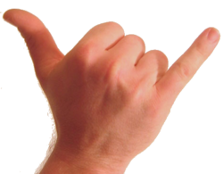 Photo of the back of human wrist and hand. The thumb and pinkie are extended and the other fingers are folded against the palm.