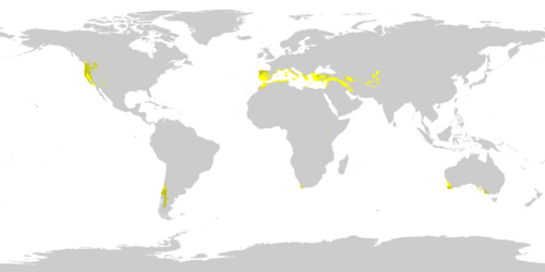 Regions with Mediterranean climates as of 1991-2020, using a threshold of −3 °C (27 °F) for the coldest month Hot-summer Mediterranean climate (Csa) Warm-summer Mediterranean climate (Csb) Cold-summer Mediterranean climate (Csc)