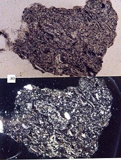 A felsic volcanic lithic fragment, as seen in a petrographic microscope. Scale box is in millimeters.