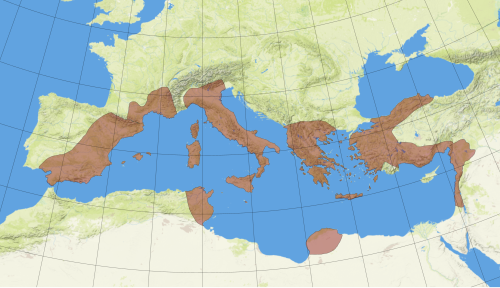 This image depicts Roman territory c. 60 BC. In the aftermath of the Mithridatic Wars, Roman territory stretched into central and eastern Anatolia and for the first time into the Levant.