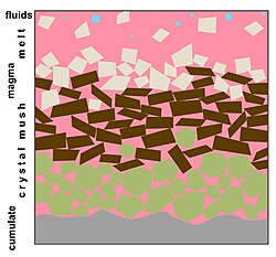 During cooling, crystals will form from the melt. Thus, the crystal/melt ratio increases, generating a magma, a crystal-mush, and finally a cumulate rock.