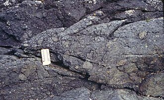 Mesozoic agglomerate of the Seymour Canal Formation in Alaska, United States