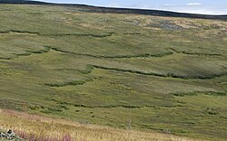 Solifluction sheets near Eagle Summit, Alaska