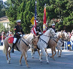 U.S. Marine Corps color guard at the 2007 Rose Parade