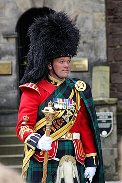 Drum major wearing a feather bonnet