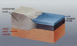 Continental and oceanic crust on the upper mantle