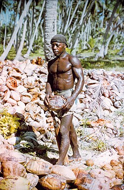 A Chagossian on Diego Garcia in 1971, before the British expelled the islanders. He spoke a French-based creole language and his ancestors were likely brought as slaves in the 19th century.
