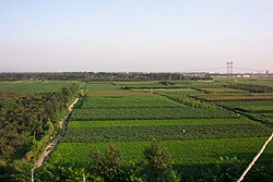 Farmlands in Hebei province, China