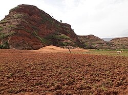Aeolian deposition near Addeha, Kola Tembien, Ethiopia (2019)