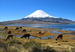 Lauca National Park