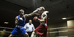 Boxer (right) using a Helmet cover