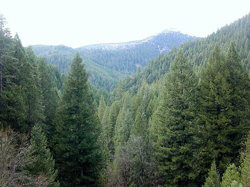 The biome typically associated with Spodosols is coniferous forest.
