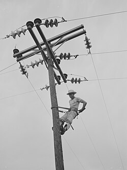 A Rural Electrification Administration lineman at work in Hayti, Missouri in 1942.