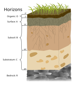 Soil profile with bedrock labeled R