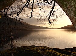 Loch Lomond in Scotland forms a relatively isolated ecosystem. The fish community of this lake has remained stable over a long period until a number of introductions in the 1970s restructured its food web.[31]