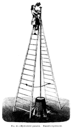 An illustration of the (apocryphal) Pascal's barrel experiment