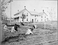Children working in a school's garden