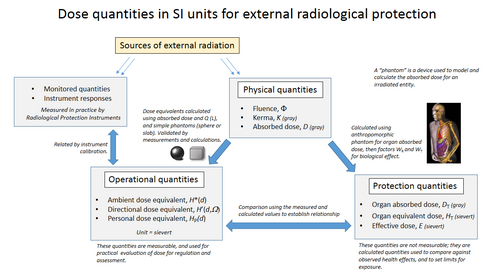 External radiation dose quantities used in radiological protection