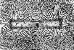 Magnetic lines of force of a bar magnet shown by iron filings on paper