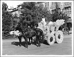 ca. 1903 horse-drawn float