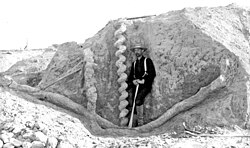 Excavation of a fossil Daemonelix burrow at Agate Fossil Beds National Monument.