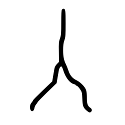 Bifurcation