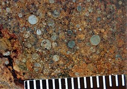 Chondrules in a chondrite meteorite. A millimeter scale is shown.