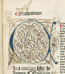 Illumination with doodles and drawings (marginalia), including an open-mouthed human profile, with multiple tongues sticking out. Copulata, "De Anima", f. 2a. HMD Collection, WZ 230 M772c 1485