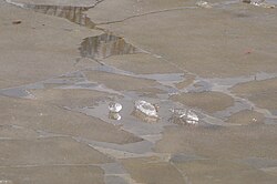 Different stages of ice melt in a pond