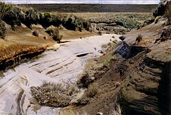 Rangipo Desert of the North Island Volcanic Plateau. Numerous tephra layers are visible.