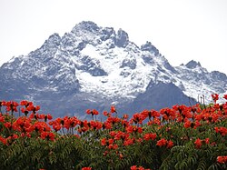 Bolívar Peak, the highest mountain in Venezuela, in Sierra Nevada de Mérida