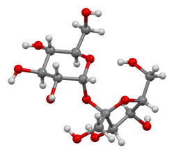 Ball-and-stick model of sucrose