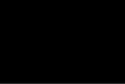 The Black Standard flag