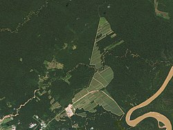 Deforestation of the Amazon rainforest in Bolivia in 2016
