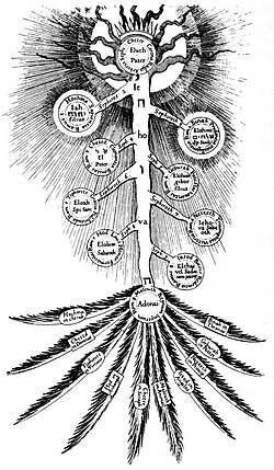 The Kabbalistic tree of life, which serves as a structural device for a chapter in Promethea