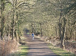 The Horse Ride is a tree tunnel (route overhung by trees) on the western side of Wimbledon Common.