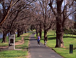 Yarra River walk paths