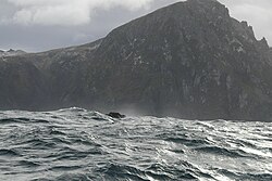 Cape Horn from aboard the sailboat "Tari II", photographed by Ingo Kühl, october 25, 2009