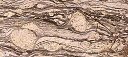 A mylonite (through a petrographic microscope)